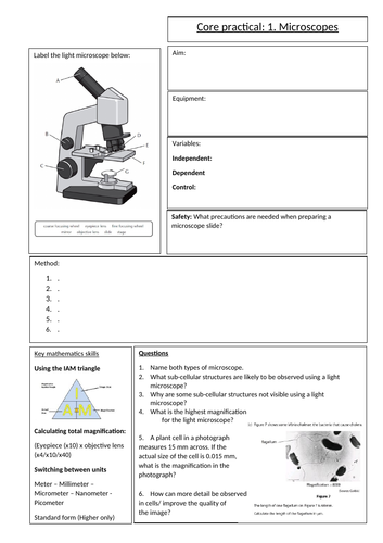 Biology GCSE Edexcel core practical 1 microscopes overview sheet. Revision