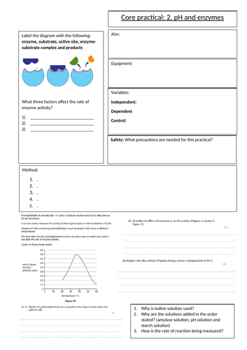 Biology GCSE Edexcel core practical 2 enzyme activity overview sheet. Revision