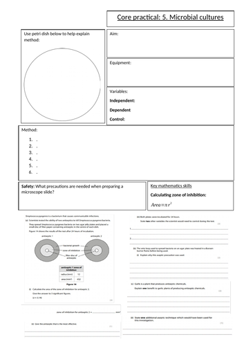 Biology GCSE Edexcel core practical 5 anti biotics overview sheet. Revision