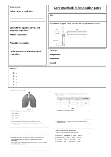 Biology GCSE Edexcel core practical 7 respiration rates overview sheet. Revision