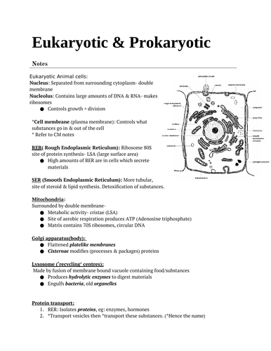 AS Edexcel Biology Paper 2 | Teaching Resources