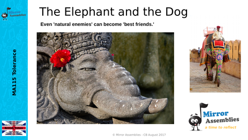 assignment america elephant and dog