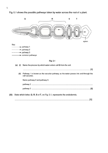 docx, 225.08 KB