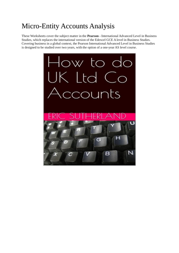 Micro Entity Accounts Analysis | Teaching Resources