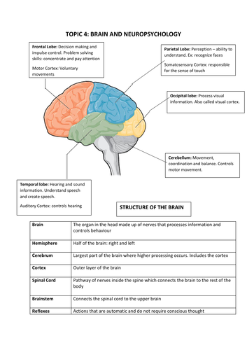 Edexcel GCSE (9-1) Psychology Topic 4 Revision