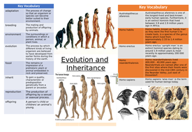 Evolution and inheritance Knowledge Organiser | Teaching Resources