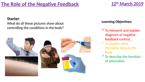 B11.4 Negative feedback