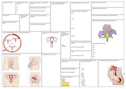 KS3 Reproduction Revision Mat