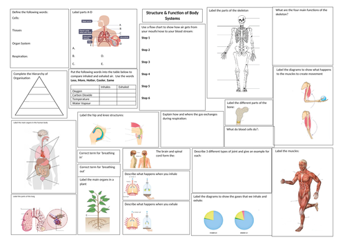 Structure & Function of Body Systems (Levels of organisation) Revision Mat