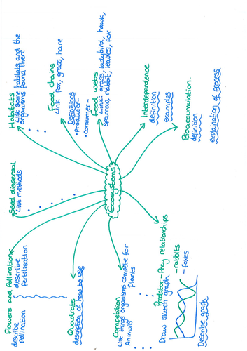 Yr 7 Ecosystems Revision