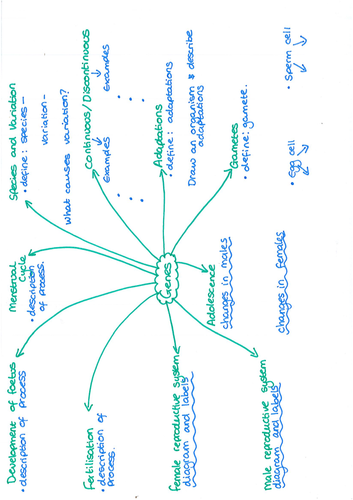 Yr 7 Genes Revision Mat