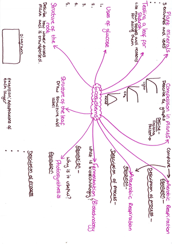 Yr 8 Ecosystems Revision Mat