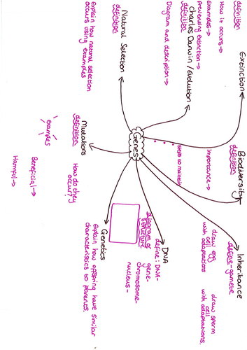 Yr 8 Genes Revision