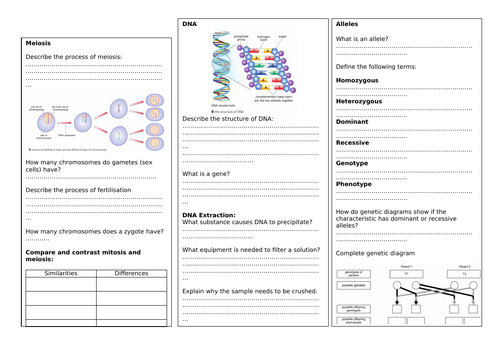 docx, 987.54 KB