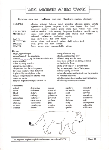 Animal Story Ideas Domestic to Wild | Teaching Resources