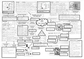 Free: Mind map Edexcel combined science Biology CB1 part 1