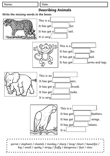 describing animals teaching resources