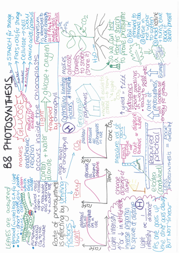 B8 Photosynthesis ONE PAGE REVISION SUMMARY AQA GCSE Biology 9-1 ...