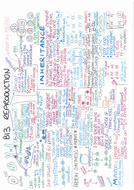 B13 Reproduction ONE PAGE REVISION SUMMARY AQA GCSE Biology 9-1 ...