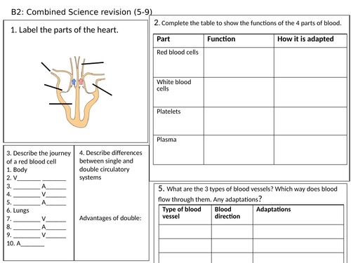 GCSE 9-1 Revision Biology OCR Unit 2 Revision Mats | Teaching Resources