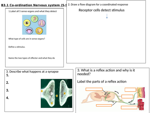 GCSE 9-1 Revision Biology OCR Unit 3 Revision Mats | Teaching Resources