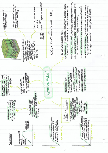 AQA GCSE Biology Photosynthesis | Teaching Resources