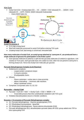 docx, 1.18 MB