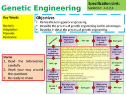 KS4 AQA GCSE Biology (Science) Genetic Engineering Lesson & Activities