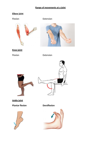 AQA GCSE PE 9-1 Paper 1 lessons, Worksheets and End of unit tests ...