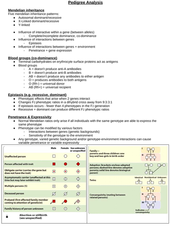 docx, 4.11 MB