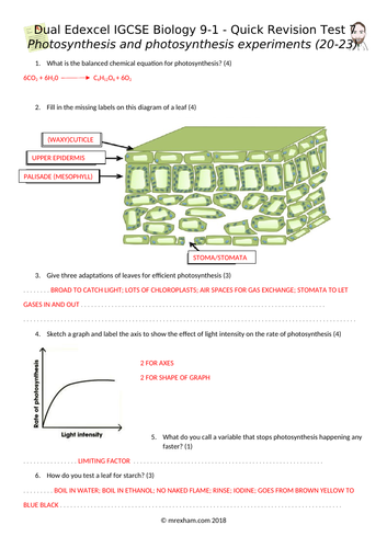 docx, 349.73 KB