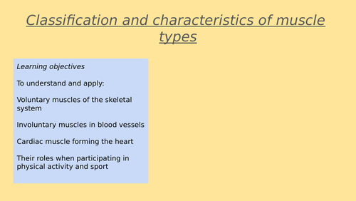 Classification of muscle types (Cardiac, Voluntary & Involuntary) GCSE