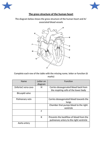 docx, 187.77 KB