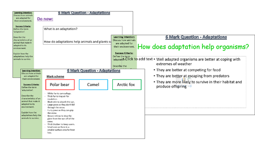 Extended Question Competition and Adaptation Activate B 2.3.1