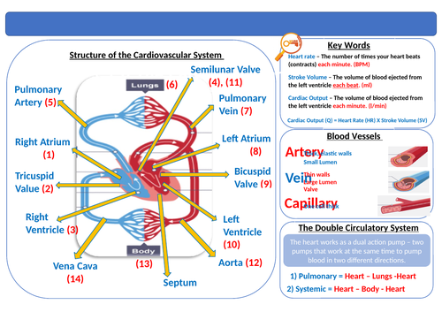 docx, 1.14 MB