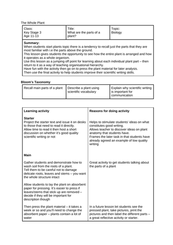 Plant anatomy - wash off and present a real plant then use sci keywords to describe it