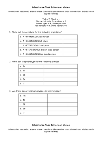 Inheritance- GCSE Foundation | Teaching Resources