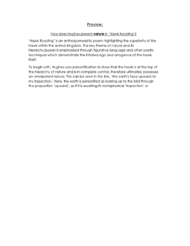 The hawk quizlet image