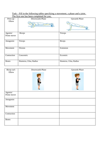 Movement Analysis Worksheet Antagonist Pairs Movement Type 