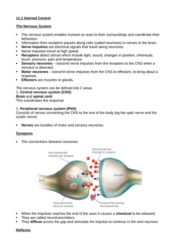 AQA biology summary notes