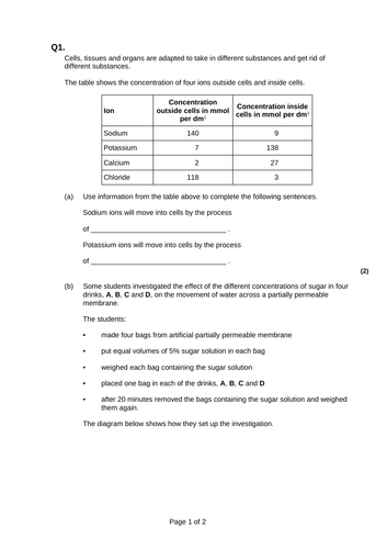 9-1 AQA GCSE Biology - U1 L6 Cell Transport | Teaching Resources