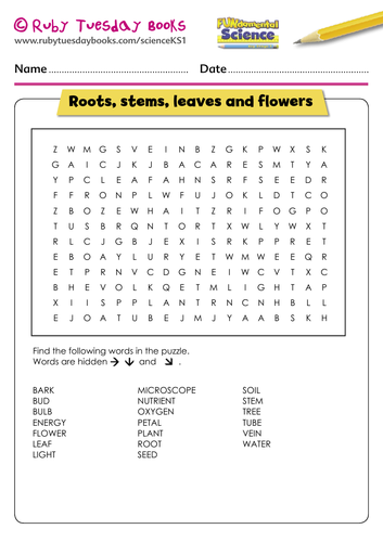 roots-stems-leaves-and-flowers-word-search-teaching-resources