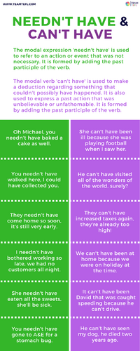 Can't have Needn't have ESL TEFL Lesson Plan Worksheet B2 | Teaching ...