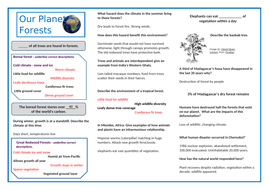 Our Planet - Forest Documentary | Teaching Resources