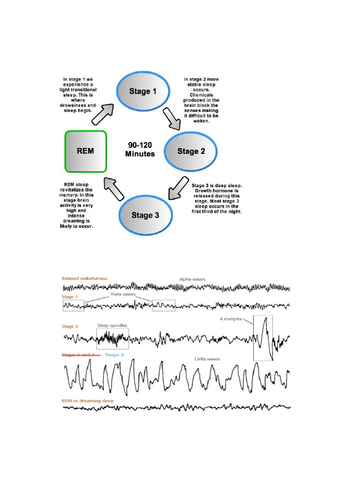 docx, 364.42 KB