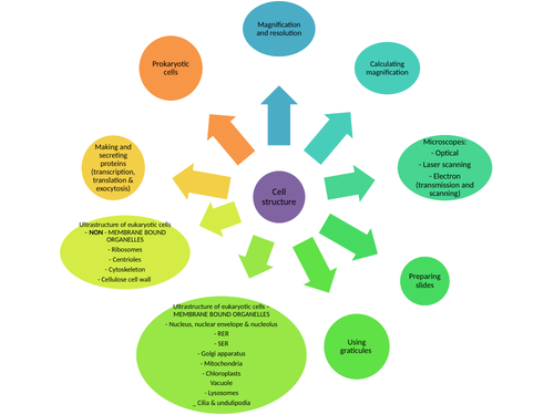 OCR A level Biology year 12 revision mind maps