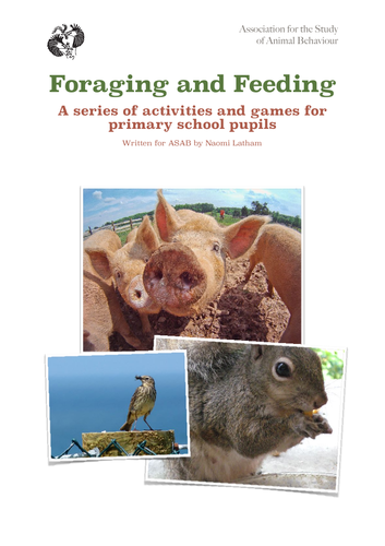 Foraging & Feeding: Activities and team work games for eating, senses ...