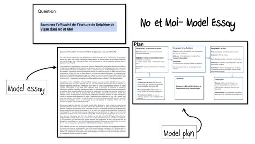 No et Moi- Model Essay and Plan (efficacité de l'écriture)- A Level French