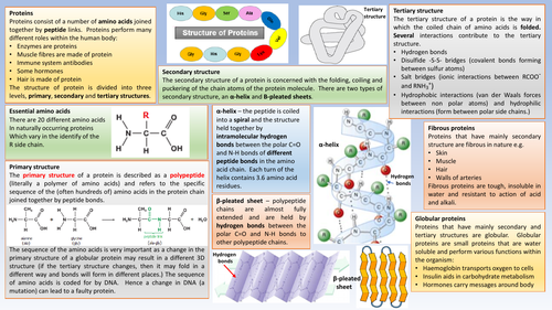 Structure of protein - AQA Chemistry | Teaching Resources