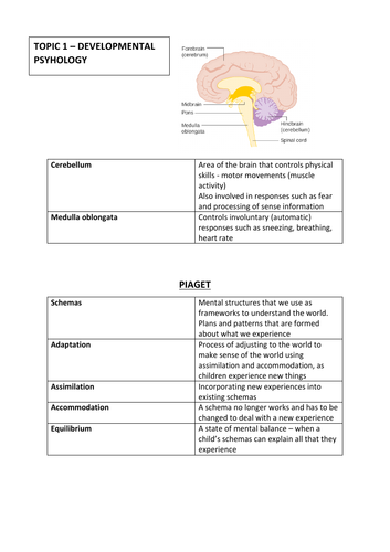 Edexcel GCSE (9-1) Psychology Topic 1 Revision | Teaching Resources